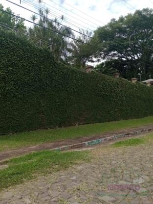 CASA NO BAIRRO FLORESTA 445m²