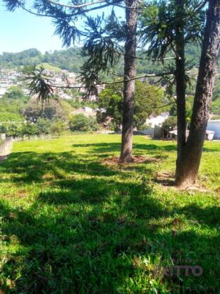 Amplo terreno a venda